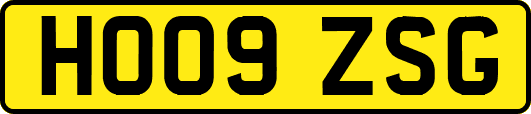 HO09ZSG