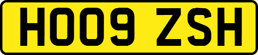 HO09ZSH