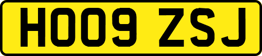 HO09ZSJ