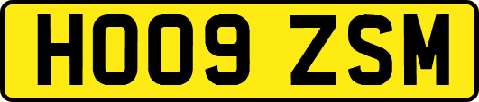 HO09ZSM