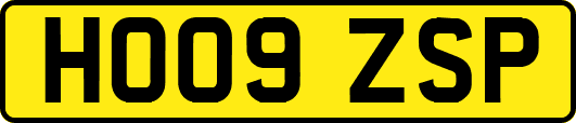 HO09ZSP
