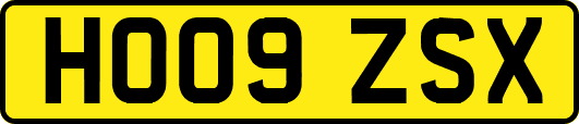 HO09ZSX