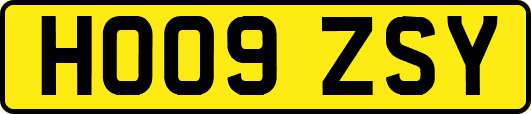 HO09ZSY