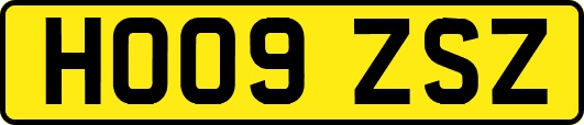 HO09ZSZ