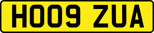 HO09ZUA