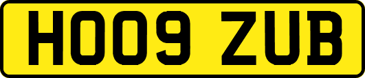 HO09ZUB
