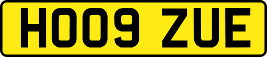 HO09ZUE