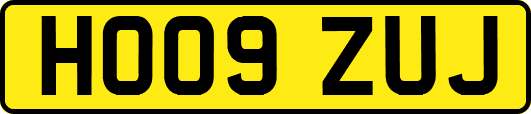 HO09ZUJ