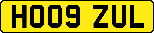 HO09ZUL