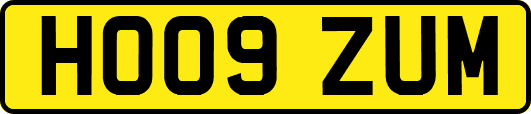 HO09ZUM