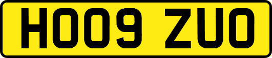 HO09ZUO