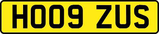 HO09ZUS