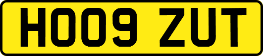 HO09ZUT