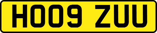HO09ZUU