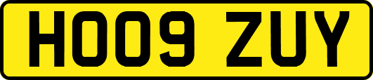 HO09ZUY