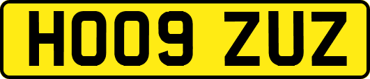 HO09ZUZ