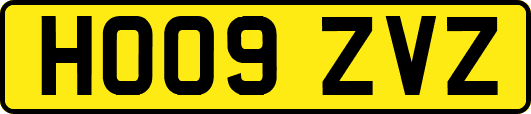 HO09ZVZ