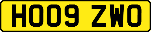 HO09ZWO