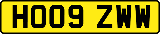 HO09ZWW