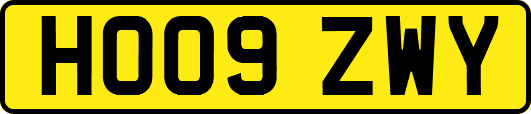 HO09ZWY