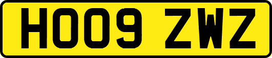 HO09ZWZ
