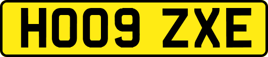 HO09ZXE