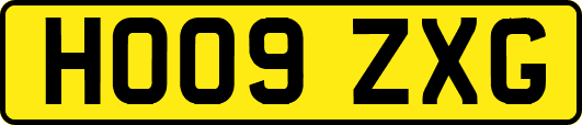 HO09ZXG