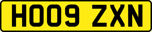 HO09ZXN