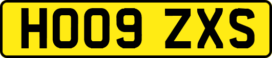 HO09ZXS