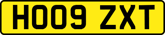 HO09ZXT