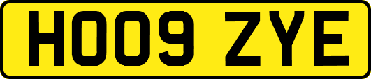HO09ZYE