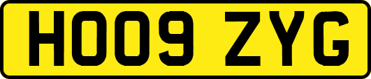 HO09ZYG