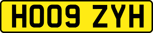 HO09ZYH