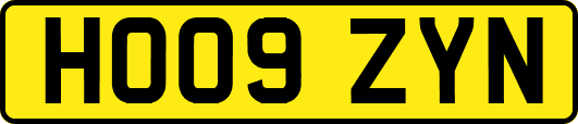 HO09ZYN