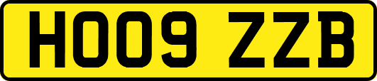 HO09ZZB