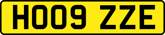 HO09ZZE