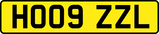 HO09ZZL