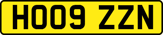 HO09ZZN