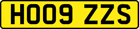 HO09ZZS