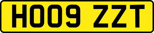 HO09ZZT
