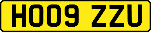 HO09ZZU