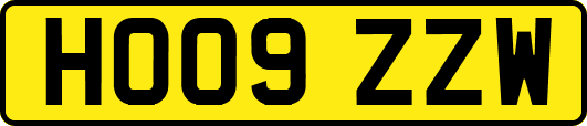 HO09ZZW