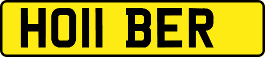 HO11BER