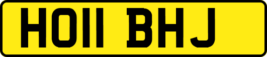 HO11BHJ