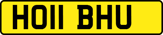 HO11BHU