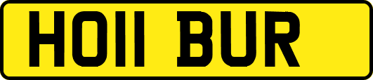 HO11BUR