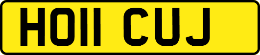 HO11CUJ