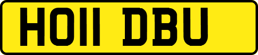 HO11DBU