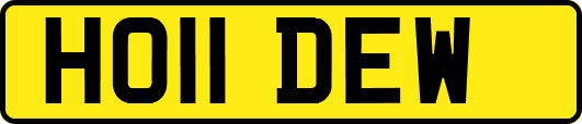 HO11DEW