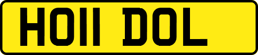 HO11DOL